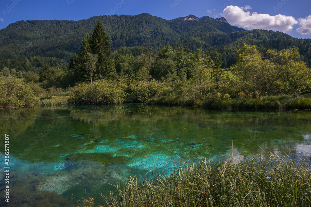 Riserva naturale del lago di Zelenci a Podkoren in Slovenia