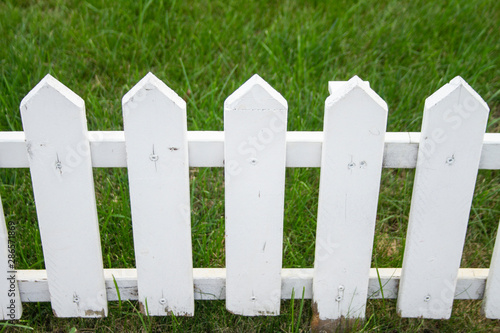 White Pickett Fence, Free Grass
