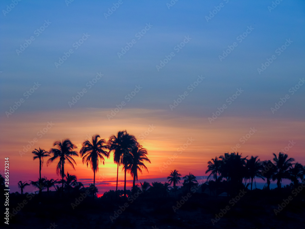 Silhouette of coconut palm trees on beach at sunset.
