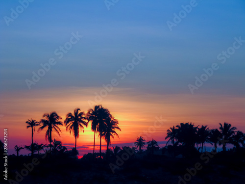 Silhouette of coconut palm trees on beach at sunset.