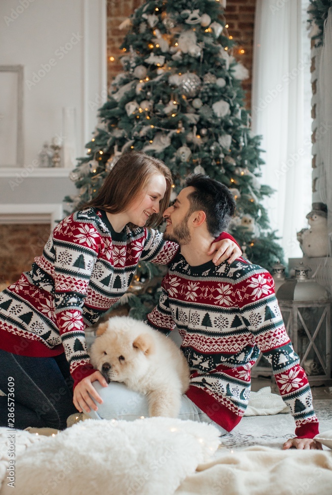 Beautiful new-year portrait of the young falling in love together with the dog of чаучау in Christmas decorations Beautiful new-year portrait of the young falling in love together with the dog of чаучау in Christmas decorations