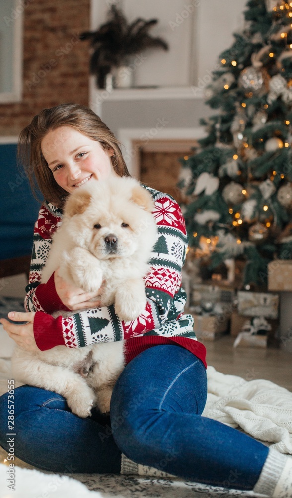 Happy girl with dog in Christmas decorations Happy girl with dog in Christmas decorations