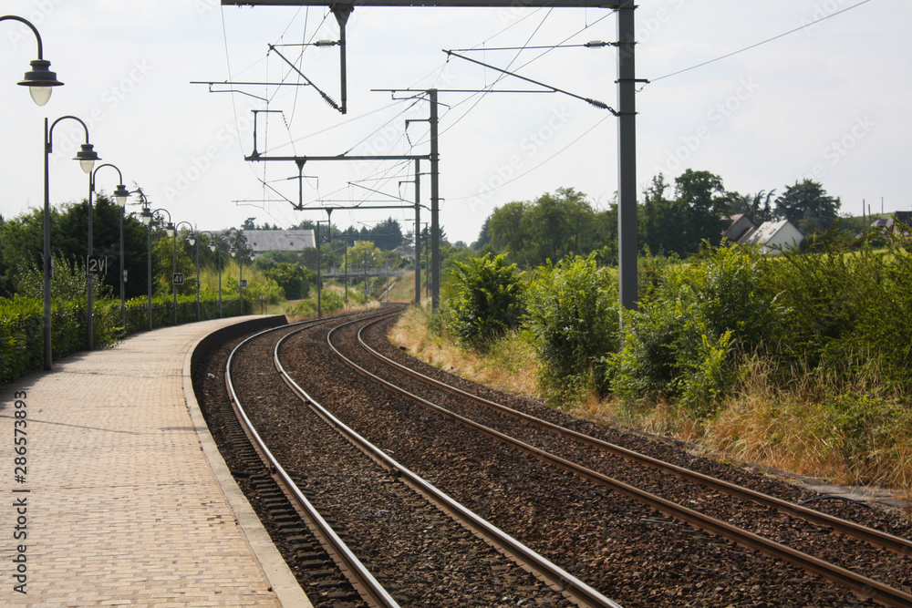 Train track view with a curve, surrounded with green shrubbery