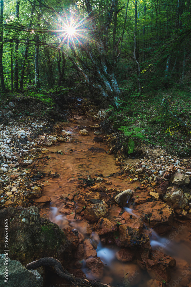 Small red creek in the forest near Devil's town in southern Serbia Small red creek in the forest near Devil's town in southern Serbia