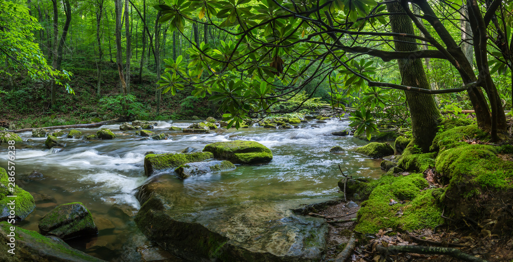 Rapids on Little Stony Creek near Pembroke, Virginia, from along the Cascades National Recreational Trail.