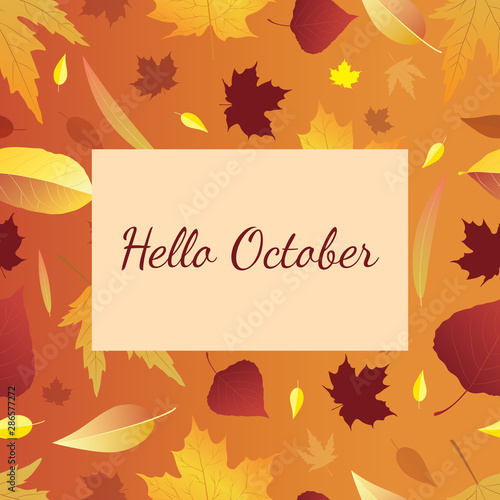 Vector autumn illustration with different colorful leaves. Beautiful background with warm colors and text