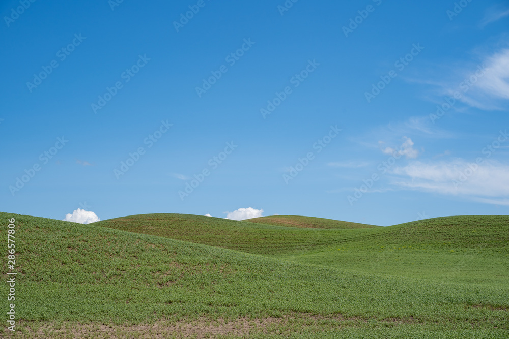 The rolling green hills of the Palouse farmland region of Eastern Washington State The rolling green hills of the Palouse farmland region of Eastern Washington State