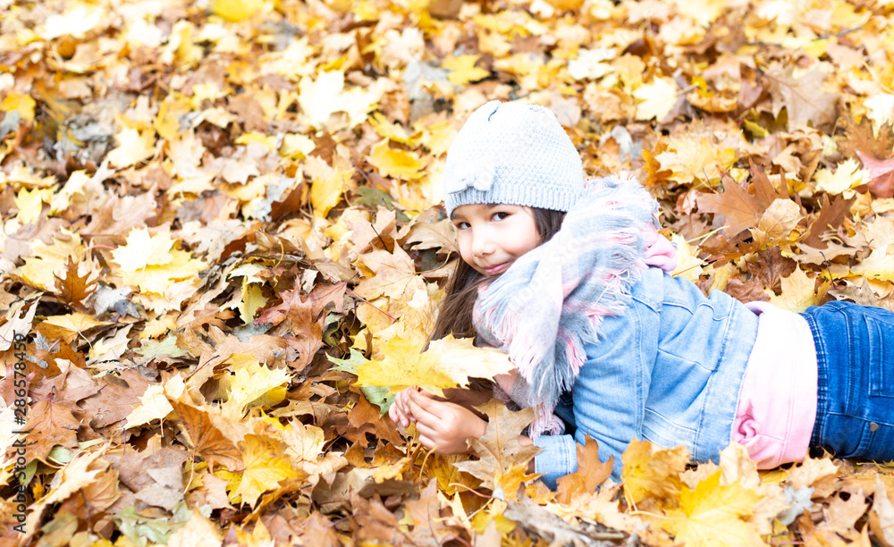hübsches, kleines Mädchen mit braunen Haaren im Park im Herbst hübsches, kleines Mädchen mit braunen Haaren im Park im Herbst