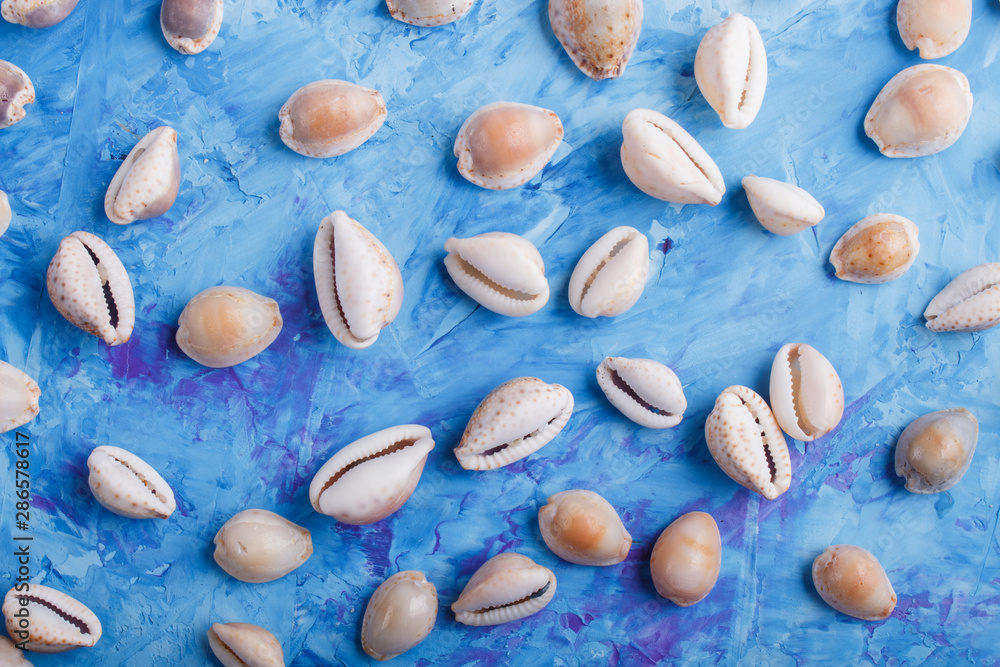 Various seashells pattern on a blue concrete background, top view.