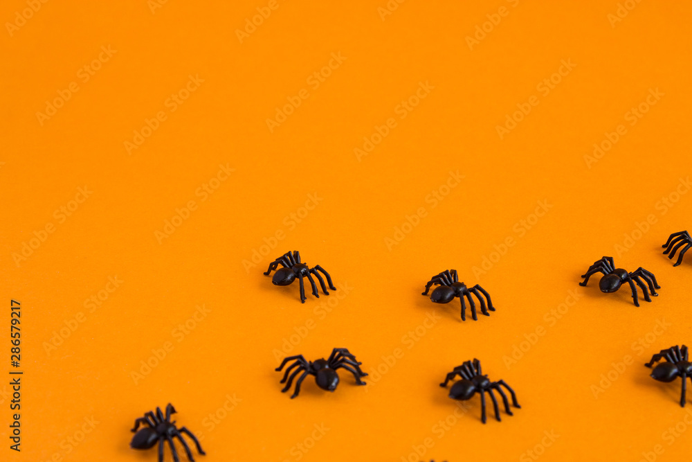 Fototapeta premium Halloween Traditional halloween background with spiders. Place for text. Black spiders on an orange background.