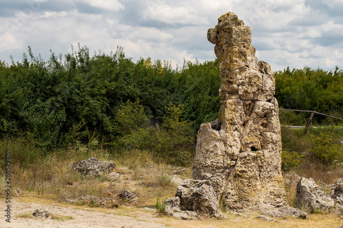 Planted stones, also known as The Stone Desert. Landforms of Varna Province. Rock formations of Bulgaria. Stone forest.	 photo