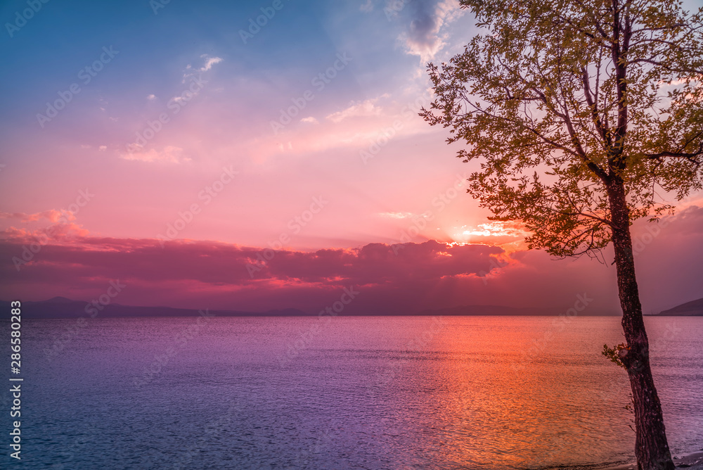 Beautiful sunset on the lake.  Fantastic sunrise, colorful clouds and tree on the Sevan lake Armenia.