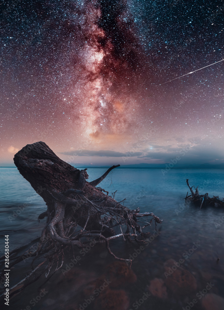 Old stump in the lake and beautiful milky way galaxy. Long exposure. Sevan lake Armenia.