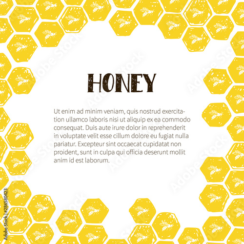 Honey frame with honeycomb and bees.