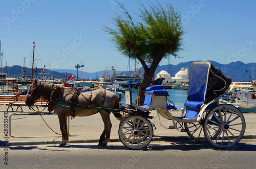 Aegina island - vintage horse carriage -capital of the island