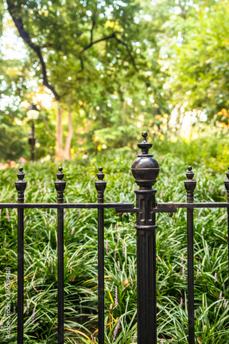 Wrought iron fence against park with green bushes and trees