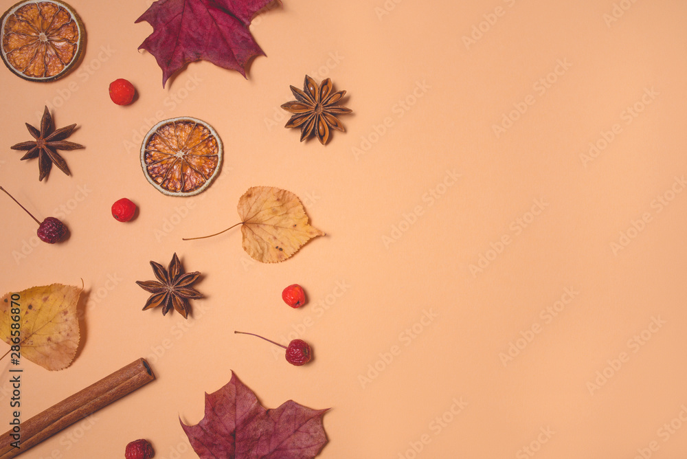Autumn pattern of leaves, spices and berries on pastel background. Flat lay, top view. Copy space for your text. Autumn pattern of leaves, spices and berries on pastel background. Flat lay, top view. Copy space for your text.