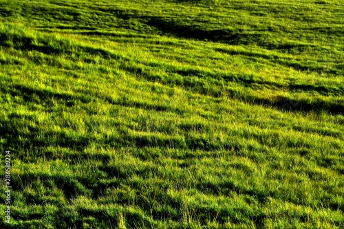 an uneven field with green grass