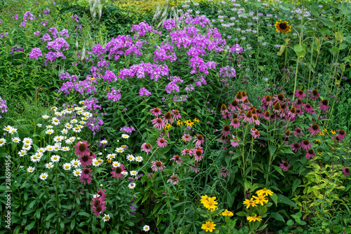 Summer perennial garden in central Virginia