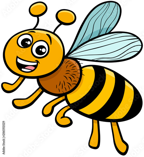 honey bee insect character cartoon illustration