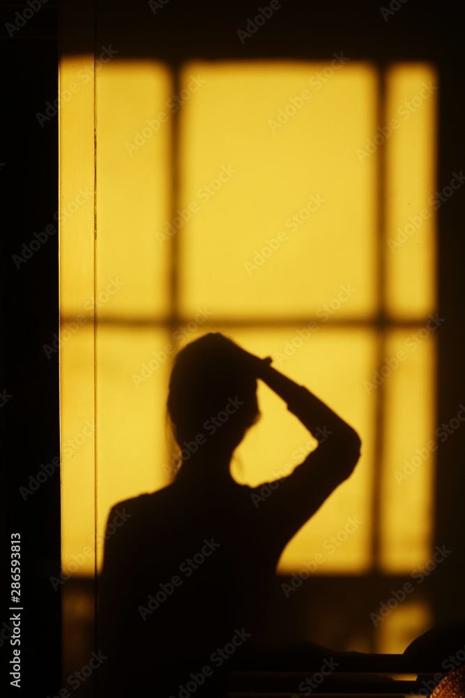 silhouette of girl in the window
