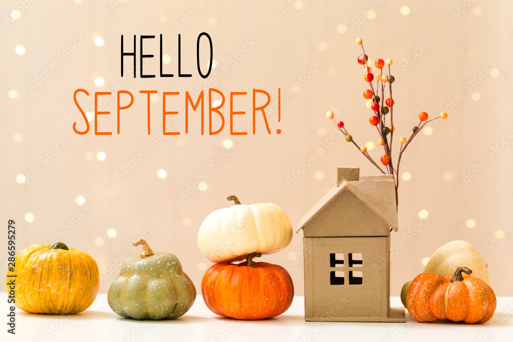 Hello September message with collection of autumn pumpkins with a toy house - obrazy, fototapety, plakaty 