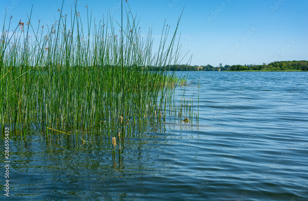 Krakower See, Krakow am See, Mecklenburgische Seenplatte Krakower See, Krakow am See, Mecklenburgische Seenplatte
