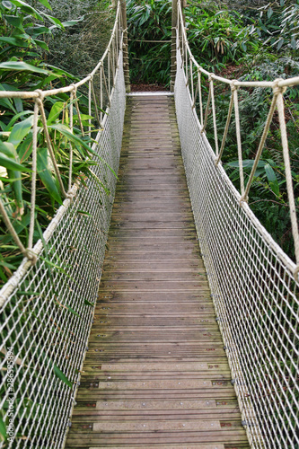 Fototapeta Naklejka Na Ścianę i Meble -  Suspended wooden bridge in the tropical forest