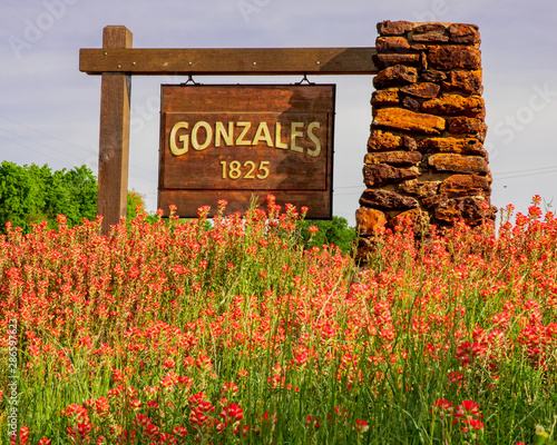 Wildflowers in front of Gonzales, Texas sign