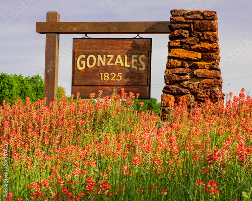 Wildflowers in front of Gonzales, Texas sign photo
