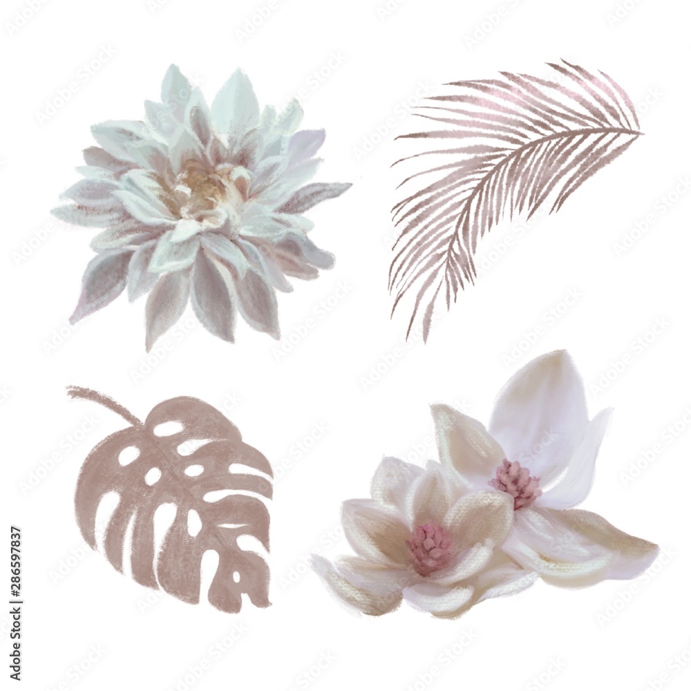 Hand drawn Beige brown and white flowers with palm leaves on white background isolated. Floral set. Dahlia, magnolia, monstera leaf, Areca palm leaf