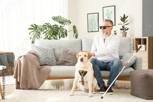 Blind mature man with guide dog at home