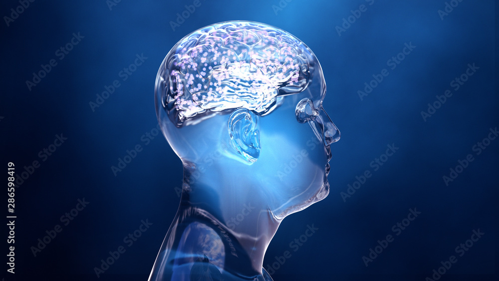 Neuronal connections in the brain Neuronal connections in the brain