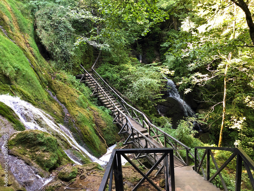 Counts trail or Poucna Grofova staza - Papuk nature park, Croatia photo