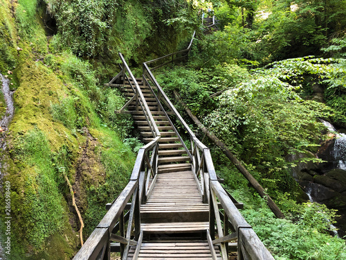 Counts trail or Poucna Grofova staza - Papuk nature park, Croatia photo