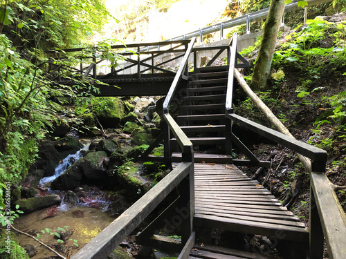 Counts trail or Poucna Grofova staza - Papuk nature park, Croatia photo