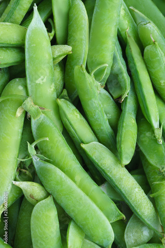 Pods of freshly picked green peas close-up