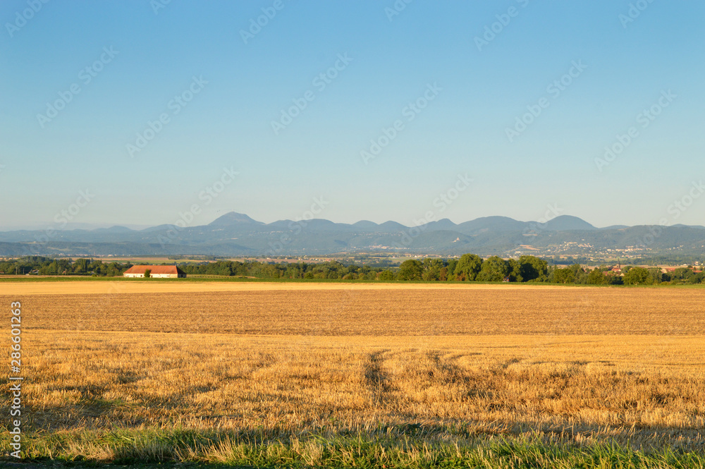 landscape with wheat field and blue sky and volcano mountains