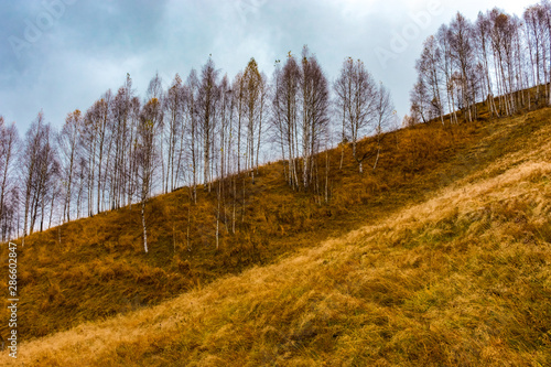 Autumn landscape in Fundatura Ponorului, also known as 