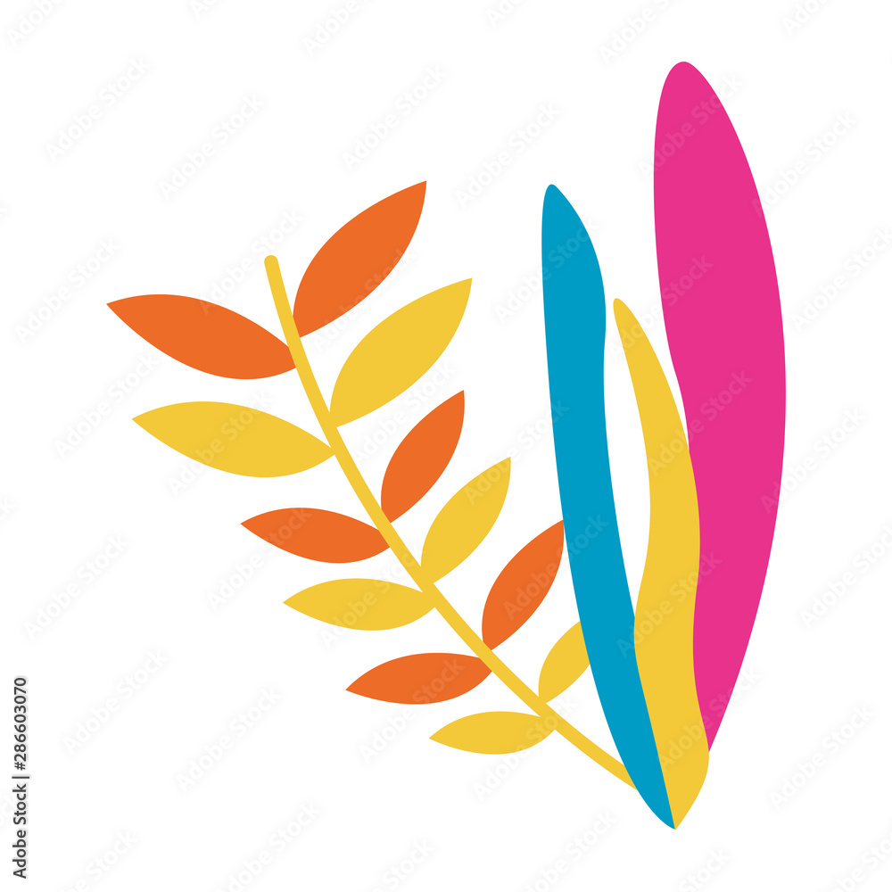 Isolated leaves vector design Isolated leaves vector design
