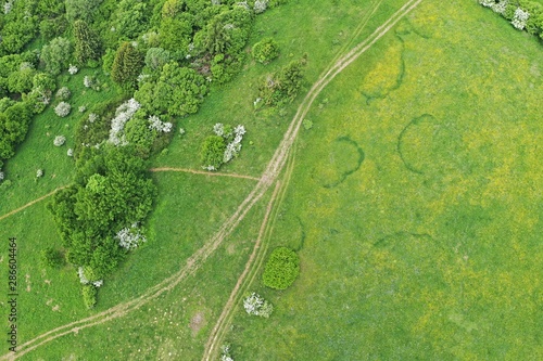 Aerial view of dirt road, group of broadleaf trees and grassland with interesting, round and kidney shaped grass patterns. Location near High Tatras mountains, northern Slovakia, central Europe