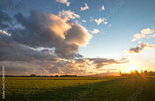 The view along a rural Canterbury road over farmland at sunset, New Zealand photo