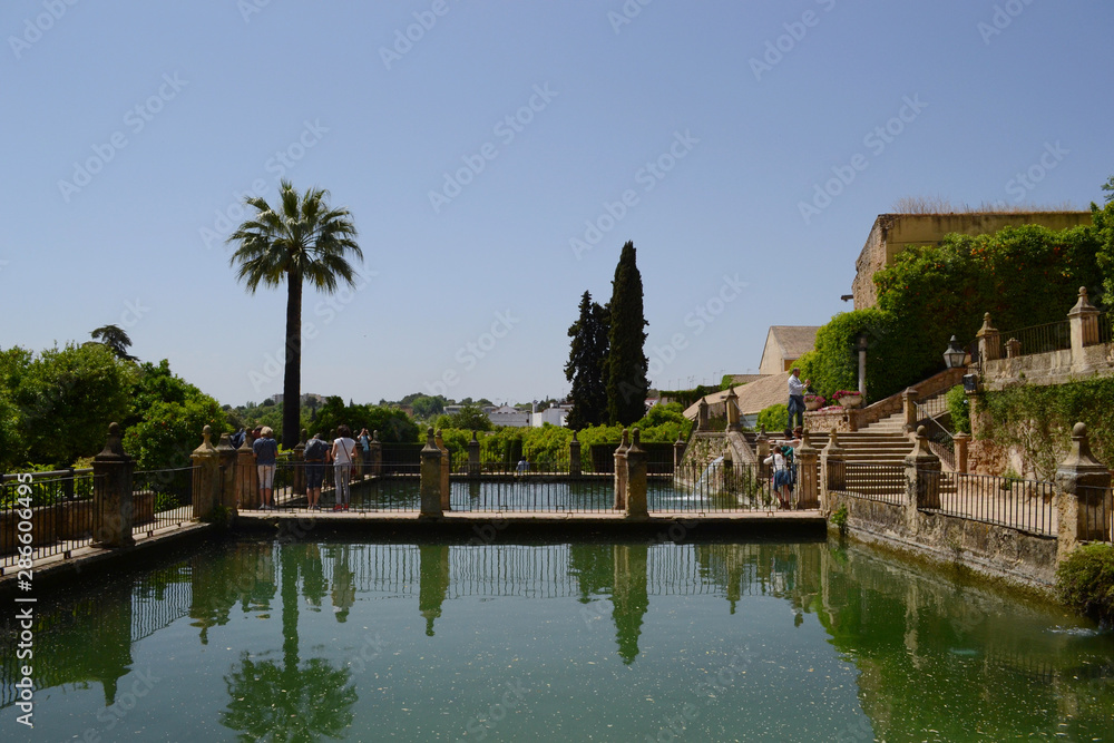 Garden Pool in Cordoba, Spain
