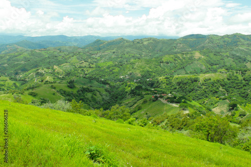 campos llenos de la siembra de maiz