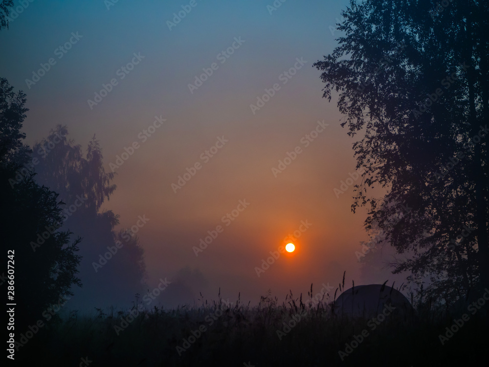 The red morning sun rises between the trees