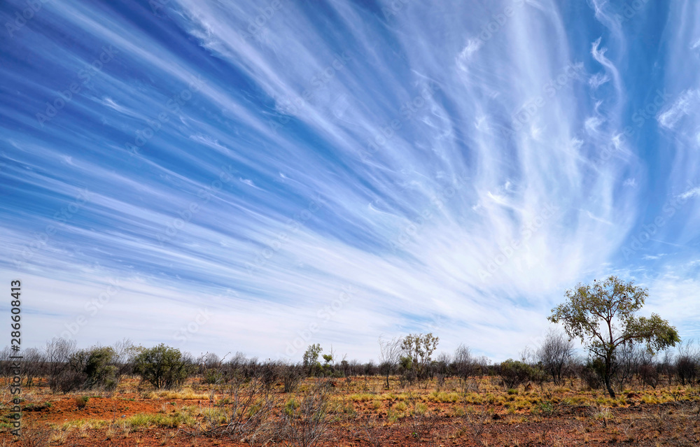 arid landscape in Northern Australia.