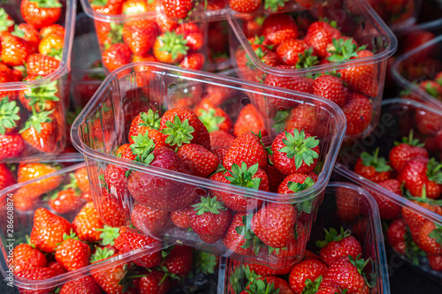 Plastic punnets of ripe strawberries for sale on a market stall photo