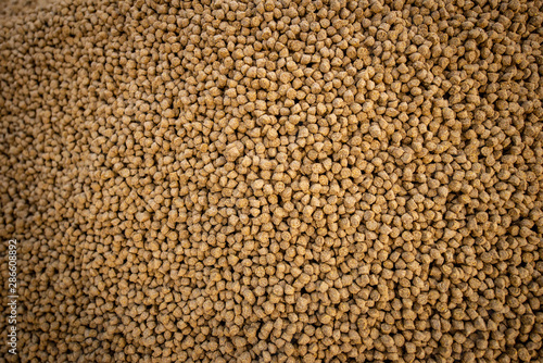 Obraz na płótnie Balanced Animal Food Pellets for Fish, Cow, Pig, Chicken, Duck, Horse, etc. Made Out of Corn, Soya and Meat Flours w salonie
