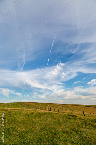 A South Downs Summer Landscape