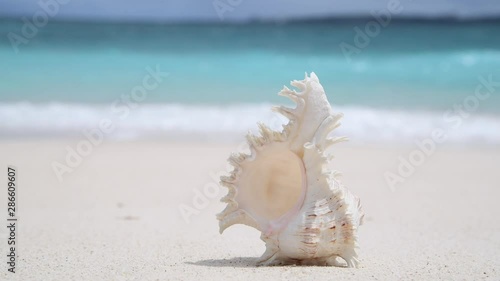 美しい沖縄の海